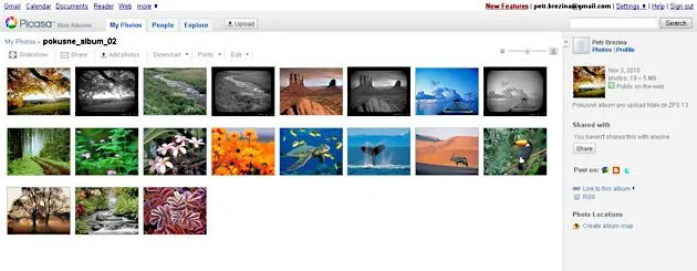 Editing Photos in Zoner Photo Studio: Uploading Pictures to Picasa ...