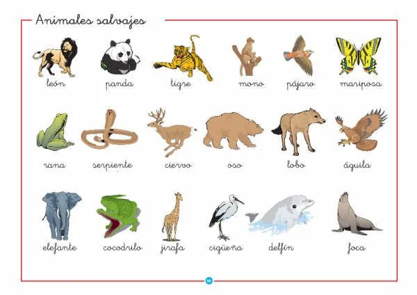 10 animales salvajes en inglés y español - Imagui