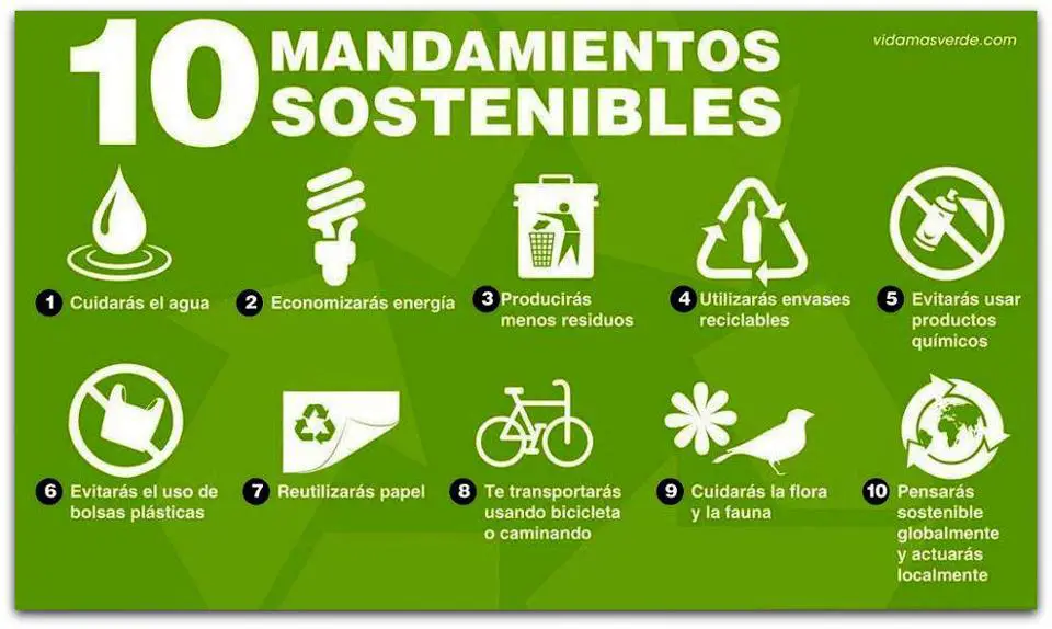 Los 10 mandamientos verdes #infografía - Conciencia Eco Los 10 mandamientos verdes #infografía - Conciencia Eco