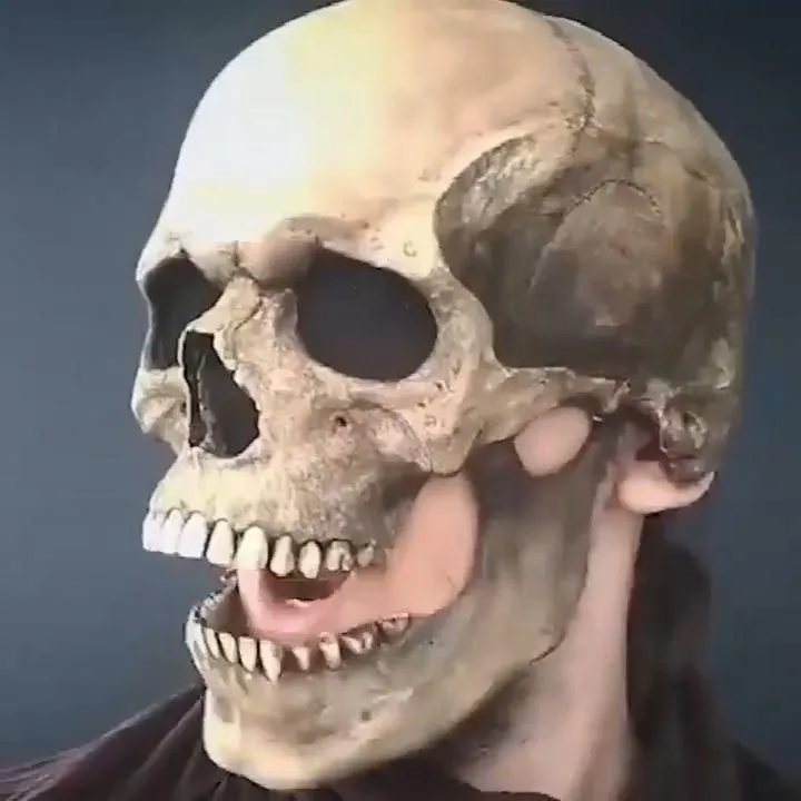 Las 10 mejores ideas e inspiración sobre esqueleto humano 3d