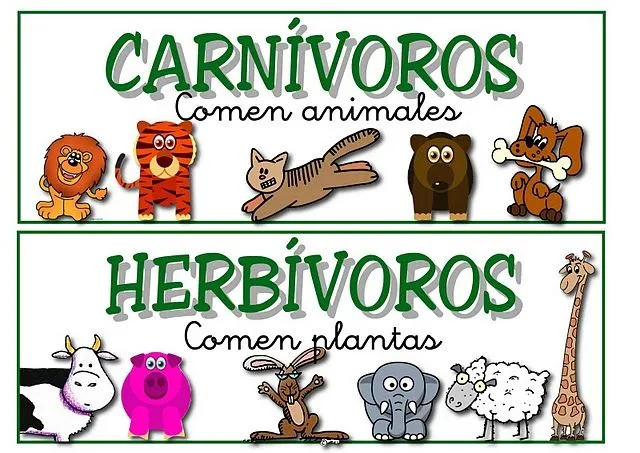 Imagenes animales carnivoros herbivoros omnivoros - Imagui