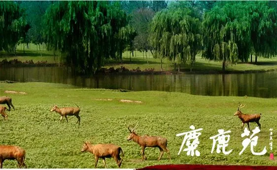 10 paisajes ecológicos en el sur de Beijing_Spanish.china.org.cn_ ...