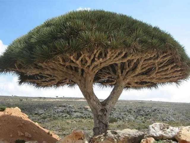 los 10 paisajes mas extraños del mundo - Taringa! los 10 paisajes mas extraños del mundo - Taringa!