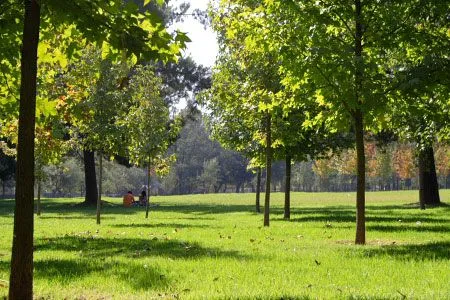10 parques en Santiago que no debes dejar de visitar