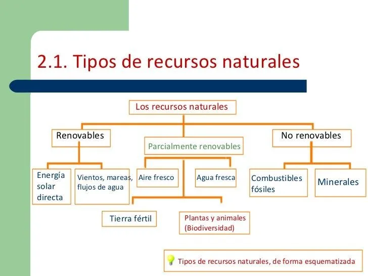 10 recursos naturales - Imagui