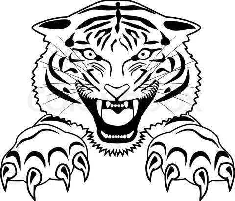 100 desenhos de tigres | Aido Bonsai