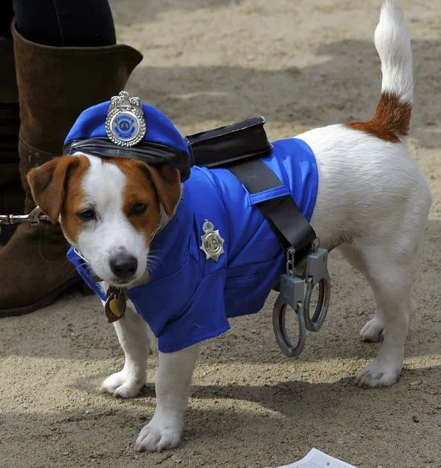 101 mascotas : Disfraces de Policia para perros