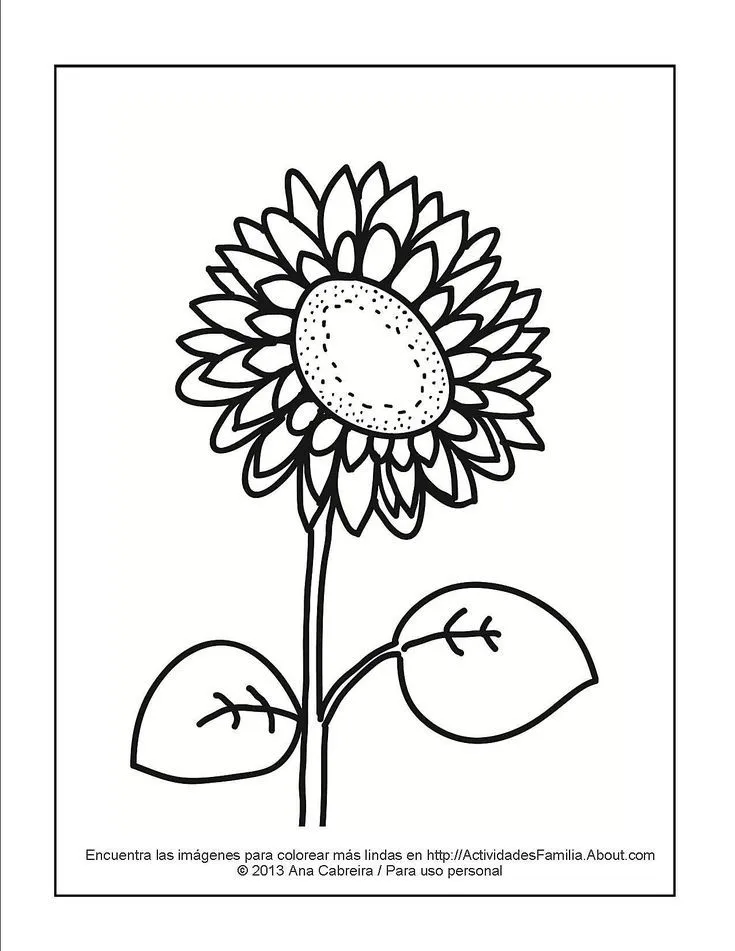 11 Lindos dibujos de flores para colorear: Girasol | Planta de girasol,  Dibujos de flores, Flores