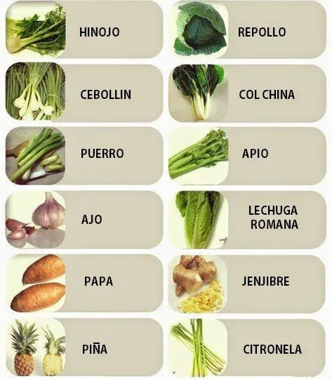 Nombre de vegetales con y - Imagui