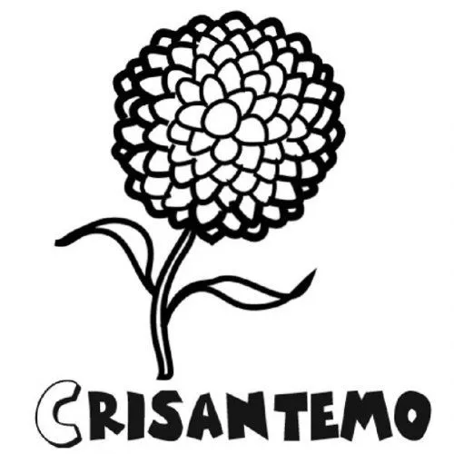 1150-4-dibujo-de-un-crisantemo ...