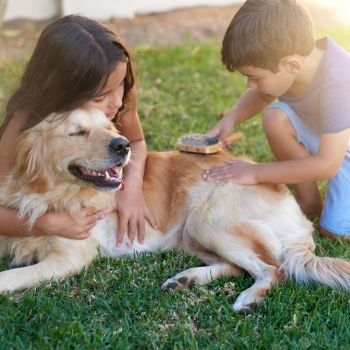 12 divertidos juegos para que niños y perros estrechen sus vínculos