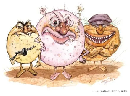 Dibujos bacterias hongos - Imagui