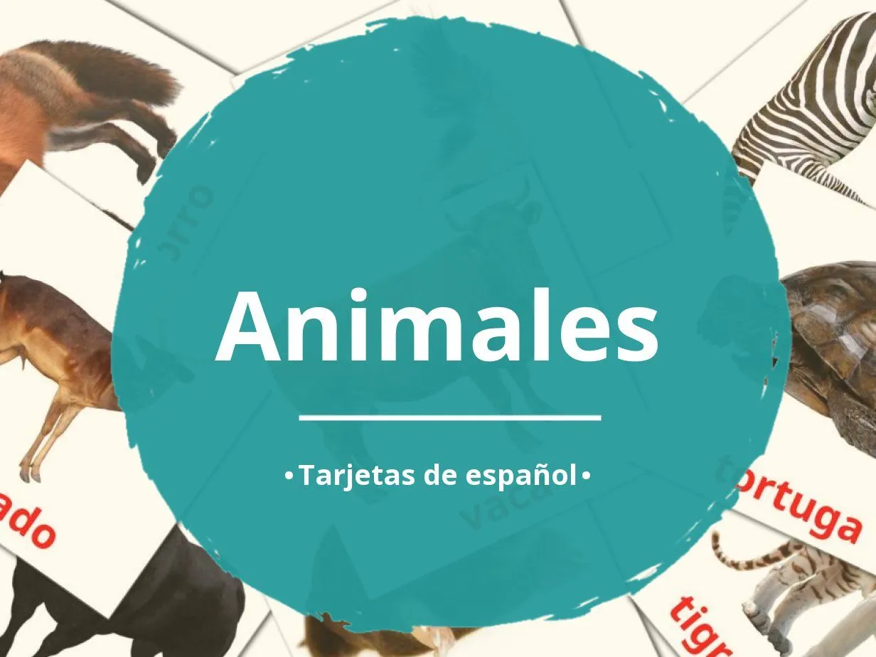 134 Tarjetas Didacticas de Animales para Imprimir GRATIS en Español | PDFs