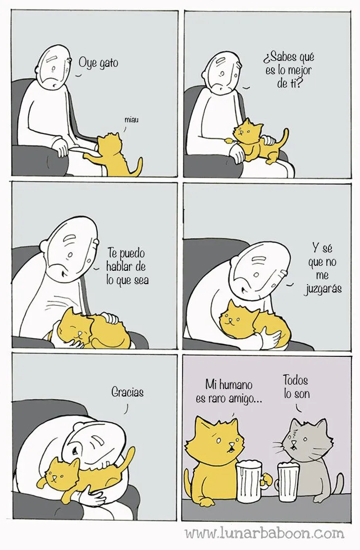 15 graciosos comics que resumen cómo es la vida con un gato | Upsocl