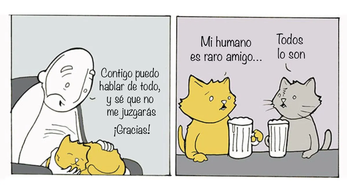 15 graciosos comics que resumen cómo es la vida con un gato | Upsocl