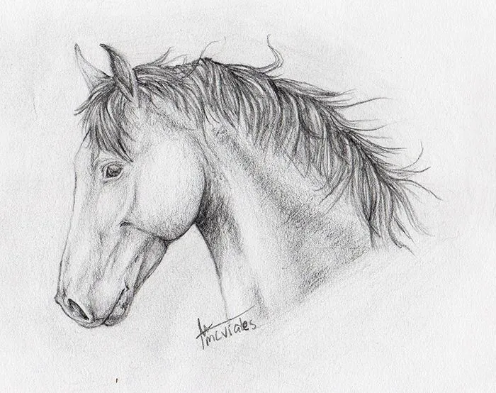 17 beste ideeën over Caballos A Lapiz op Pinterest - Paardenschets ... 17 beste ideeën over Caballos A Lapiz op Pinterest - Paardenschets ...