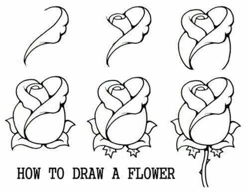 17 mejores ideas sobre Cómo Dibujar Una Rosa en Pinterest ... 17 mejores ideas sobre Cómo Dibujar Una Rosa en Pinterest ...