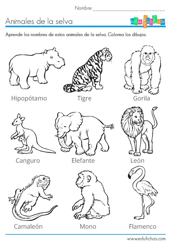 17 mejores ideas sobre Dibujos De Animales Salvajes en Pinterest ...