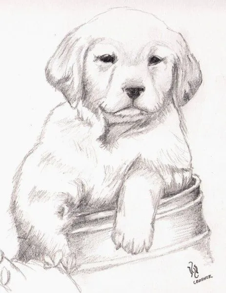 17 mejores ideas sobre Dibujos A Lapiz Grafito en Pinterest ... 17 mejores ideas sobre Dibujos A Lapiz Grafito en Pinterest ...