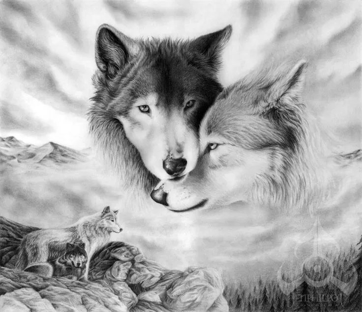 17 mejores ideas sobre Dibujos De Lobos en Pinterest