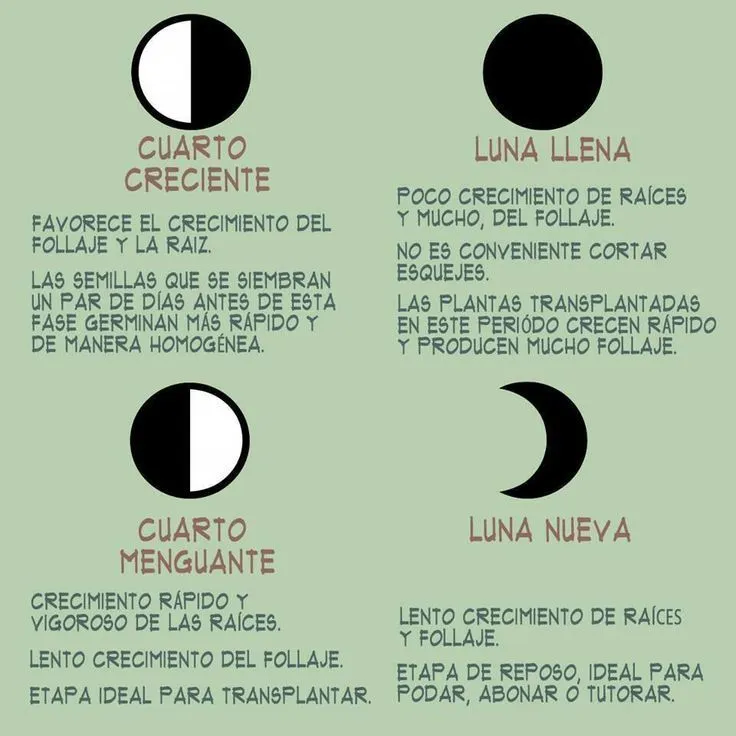 17 mejores ideas sobre Fases De La Luna en Pinterest | Pagano ...