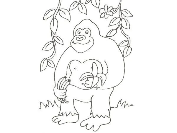 17590-4-dibujo-de-un-gorila-de ...
