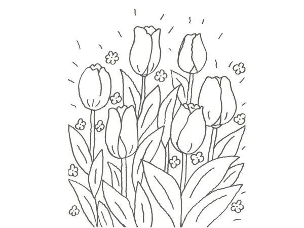 17661-4-dibujo-de-un-tulipan- ...