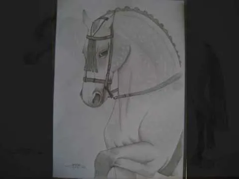 2º mis dibujos de caballos - YouTube