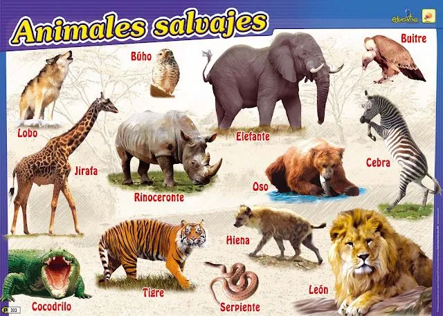 Animales salvajes con sus respectivos nombres - Imagui