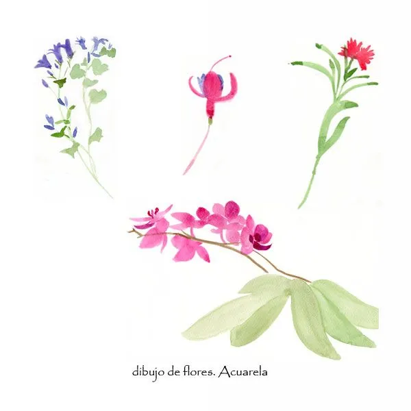 20 Flores-1-acuarela | Etel Vilaró