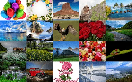 20 fotos de animales, flores, paisajes, aves y autos ...