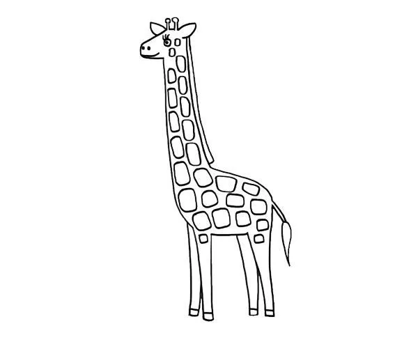 20053-4-una-jirafa-dibujo-para ...