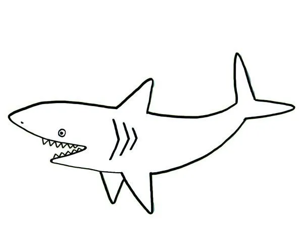 20082-4-tiburon-dibujo-para- ...