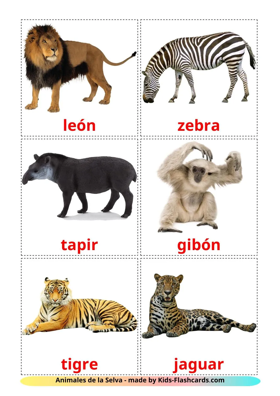 21 Tarjetas de Aprendizaje de Animales de la Selva GRATIS en PDF | Imágenes  en Español