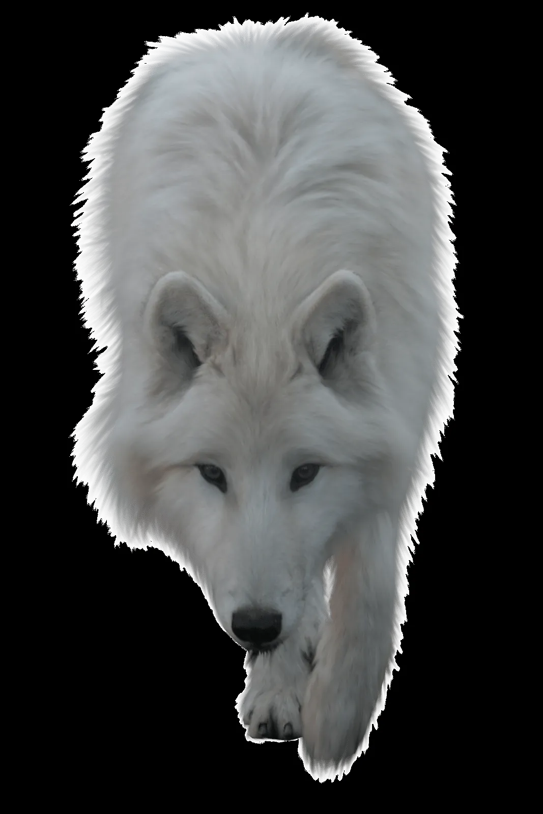 24 imagenes en formato PNG de distintos animales. 24 imagenes en formato PNG de distintos animales.