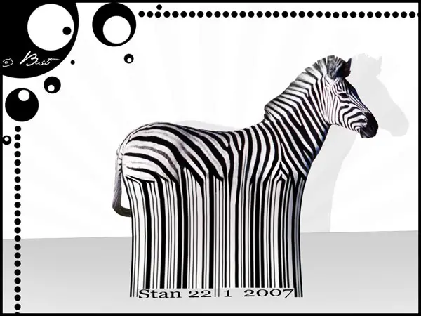 25 Beautiful Zebra Wallpapers