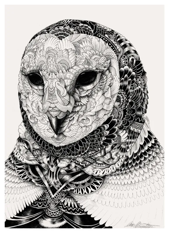2headedsnake | Iain Macarthur Owl portraits, 2013 pen and ink