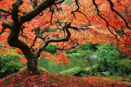 30 fotos impresionantes de paisajes naturales : Recursos Gratis En ... 30 fotos impresionantes de paisajes naturales : Recursos Gratis En ...