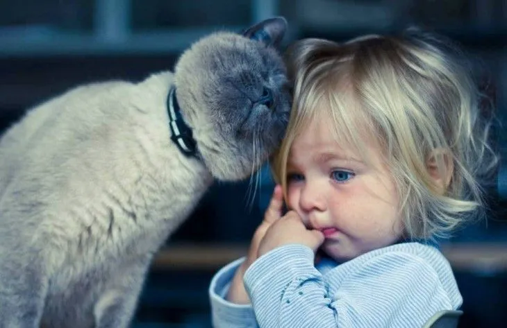 30 imágenes tiernas de niños con sus gatitos. Artículos sobre Gatos