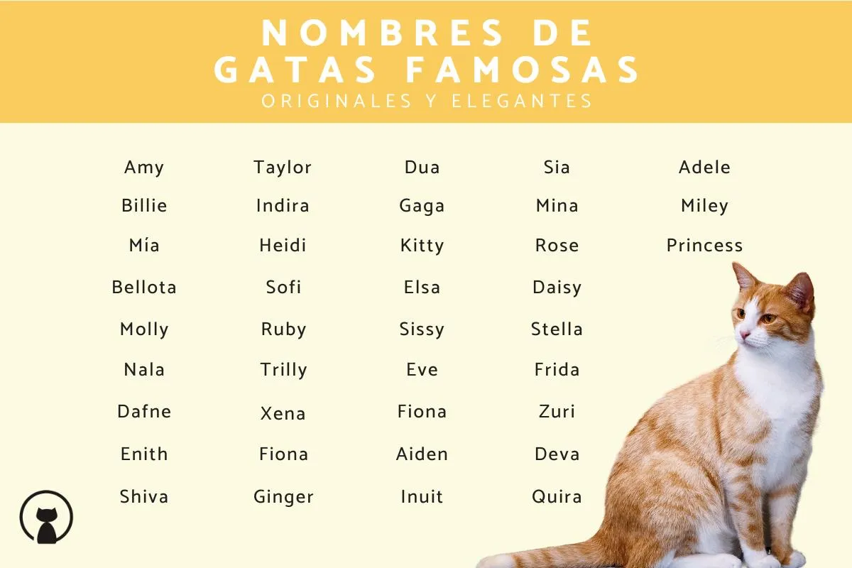 300 Nombres de gatas famosas - ¡Originales y elegantes!