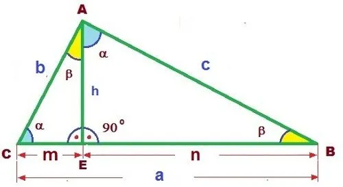 3.3. Teoremas basados en los triángulos rectángulos | Contenidos
