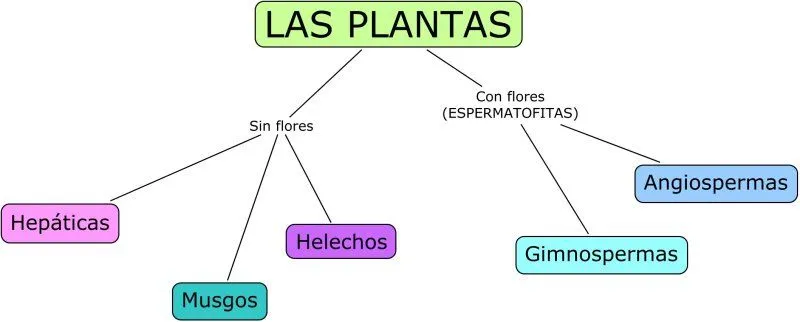 laboratorioparatodos: Plantas