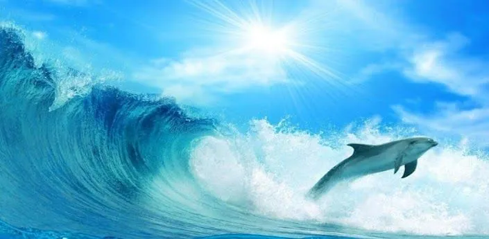 3D Delphine HD Live Wallpaper - Android Apps auf Google Play 3D Delphine HD Live Wallpaper - Android Apps auf Google Play