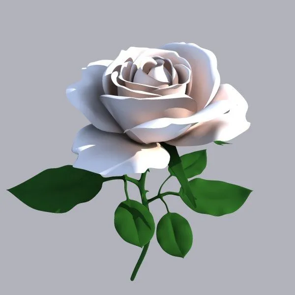3d rose flower model