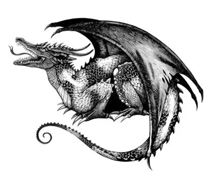 3d tattoo: Dragon Tattoo Designs