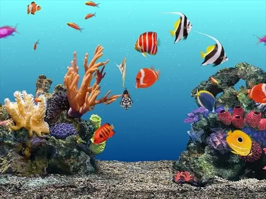 Imagenes con movimiento 3D para fondo de pantalla - Imagui Imagenes con movimiento 3D para fondo de pantalla - Imagui