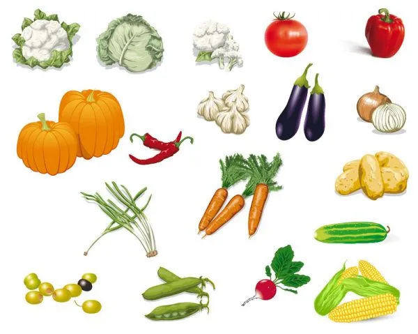 Mas de 40 frutas, verduras y hortalizas vectorizadas – Puerto ...