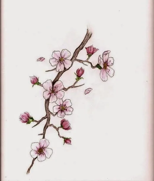 40 Tatuajes de flores de cerezo para chicas | Belagoria