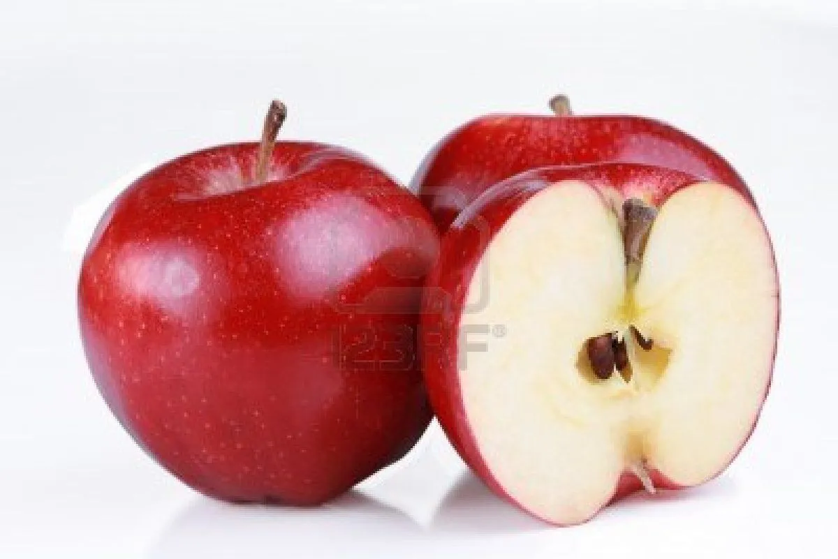 4318447-las-manzanas-rojas-de-gala-una-corte-abierta-para-mostrar ... 4318447-las-manzanas-rojas-de-gala-una-corte-abierta-para-mostrar ...