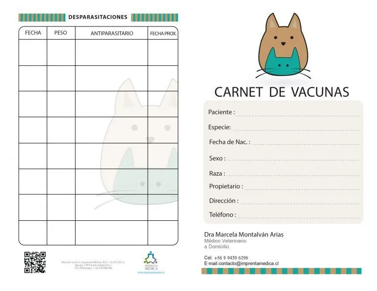 44 ideas de VETERINARIA | veterinaria, veterinaria dibujo, decoracion  veterinaria